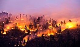 EM Response and Recovery