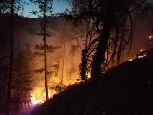 Wildland Firefighting